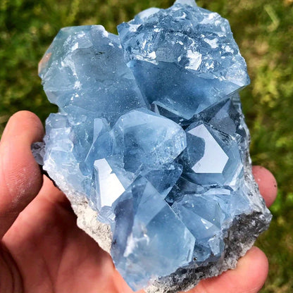 Natural Celestite Crystal Cluster Egg Hand Carved Healing Stone Spiritual Meditation Collection Mineral Specimen Unique Gift